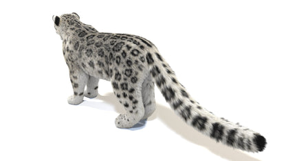 Realistic Snow Leopard 3D Model with Fur