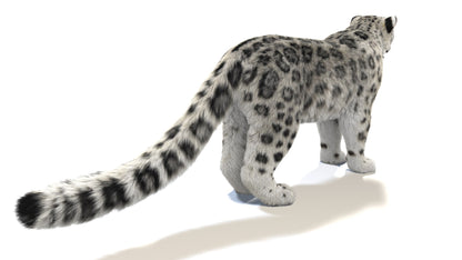Snow Leopard 3D Model with Fur