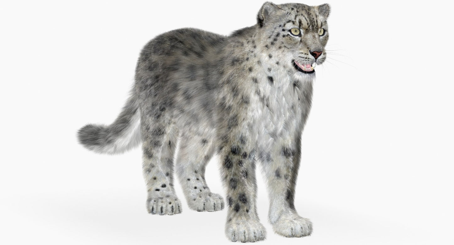 Snow Leopard 3D Model with Fur Scanline Renderer