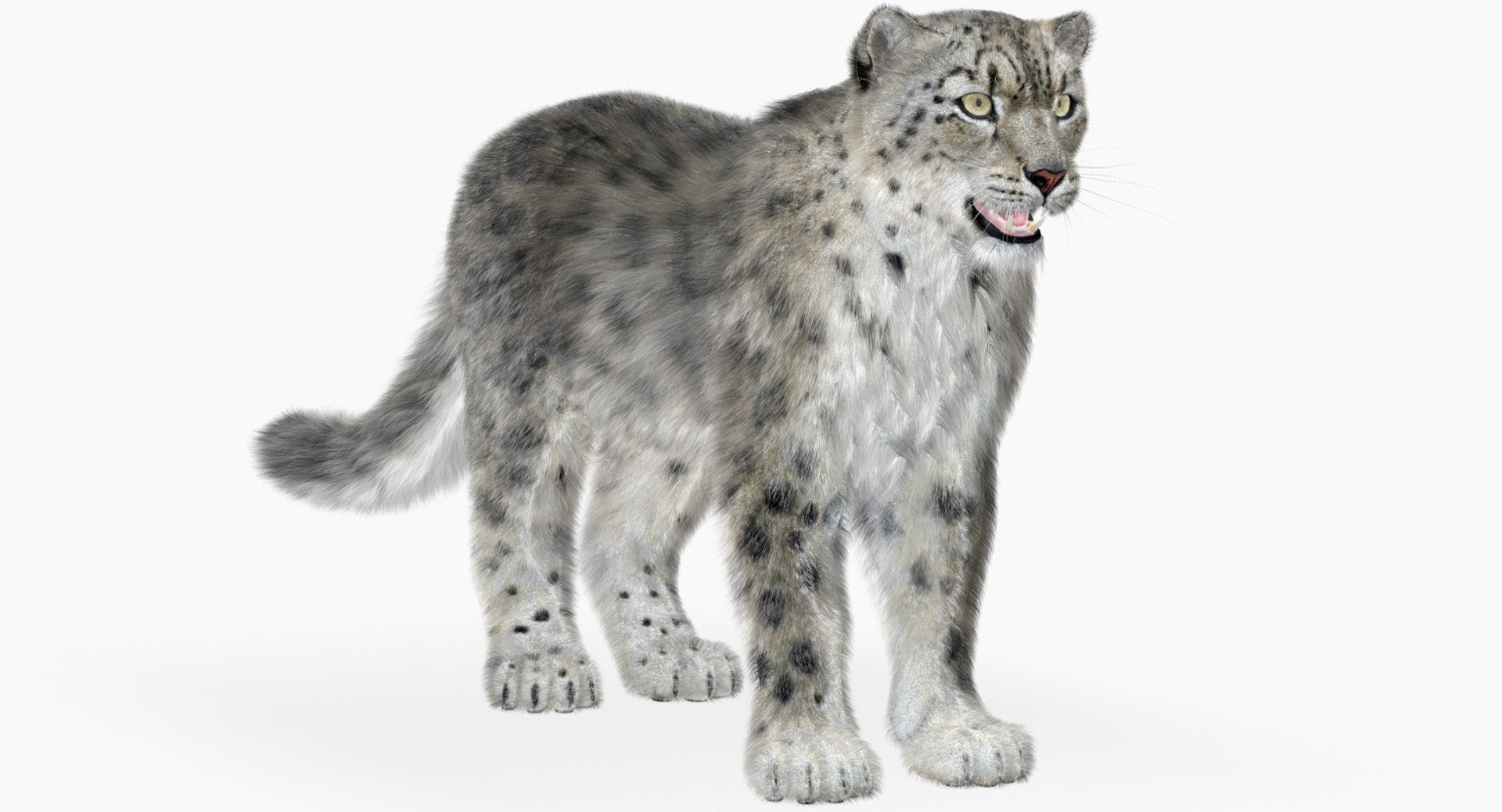Snow Leopard 3D Model with Fur Scanline Renderer