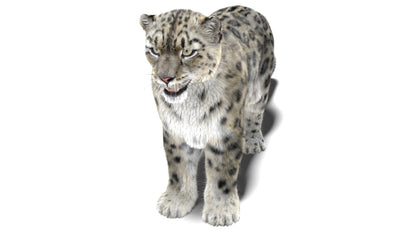 Snow Leopard 3D Model Fur Maya