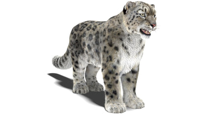 Snow Leopard 3D Model Fur Maya