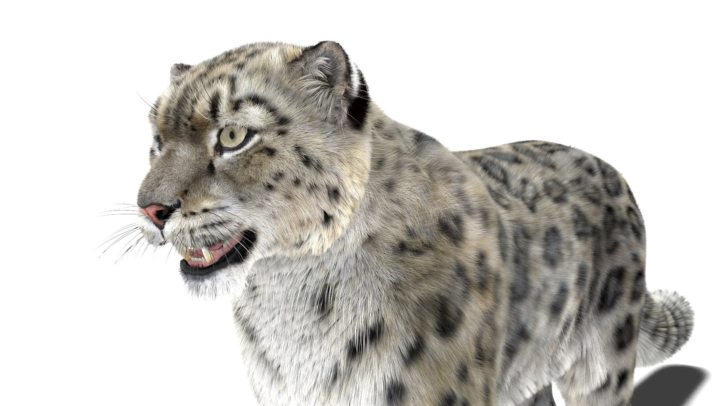 Snow Leopard 3D Model Fur Maya