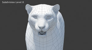 Snow Leopard 3D Model: Head Close Up - Wireframe Subdivision Level 0 Thumbnail