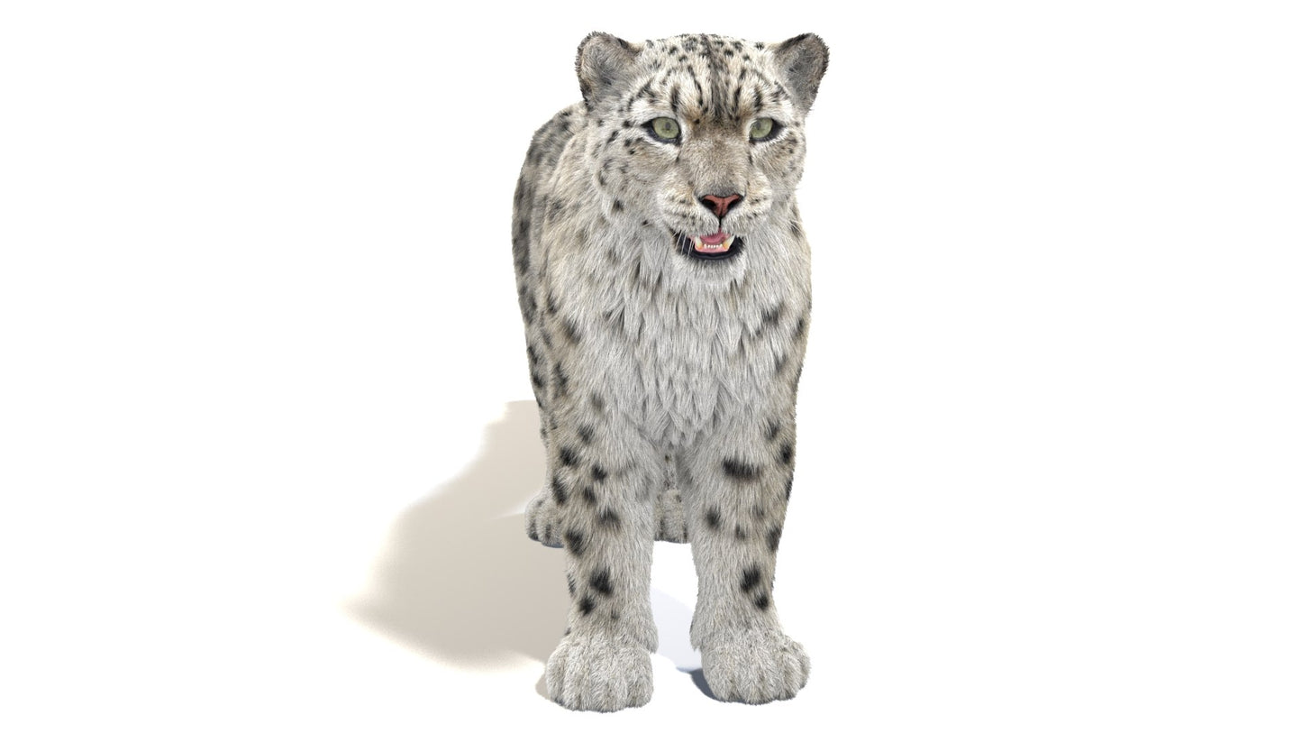 Snow Leopard 3D Model Fur