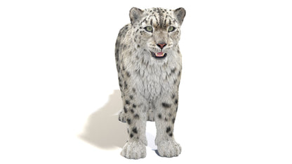 Snow Leopard 3D Model Fur