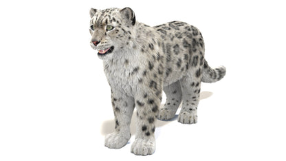 Snow Leopard 3D Model Fur