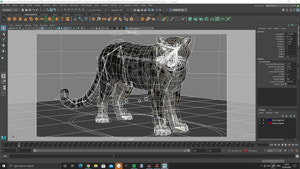 Rigged Snow Leopard 3D Model Maya Printscreen Thumbnail