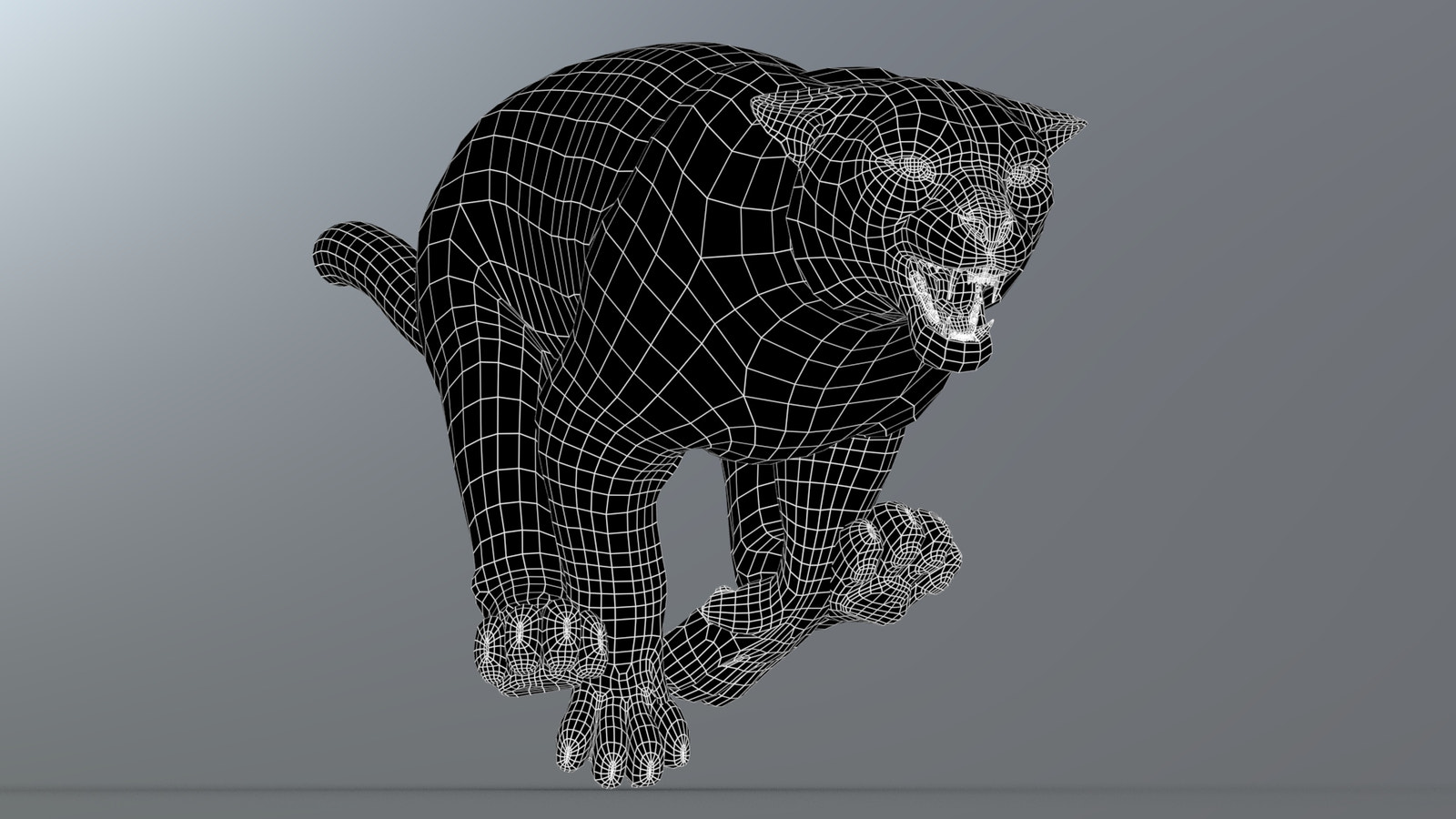 Snow Leopard 3d Model Wireframe Subdivision Level 0