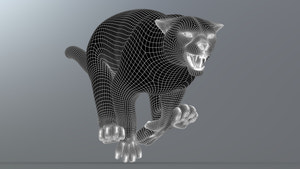 Snow Leopard 3d Model Wireframe Subdivision Level 1 Thumbnail