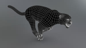 Snow Leopard 3d Model Wireframe Subdivision Level 0 Thumbnail