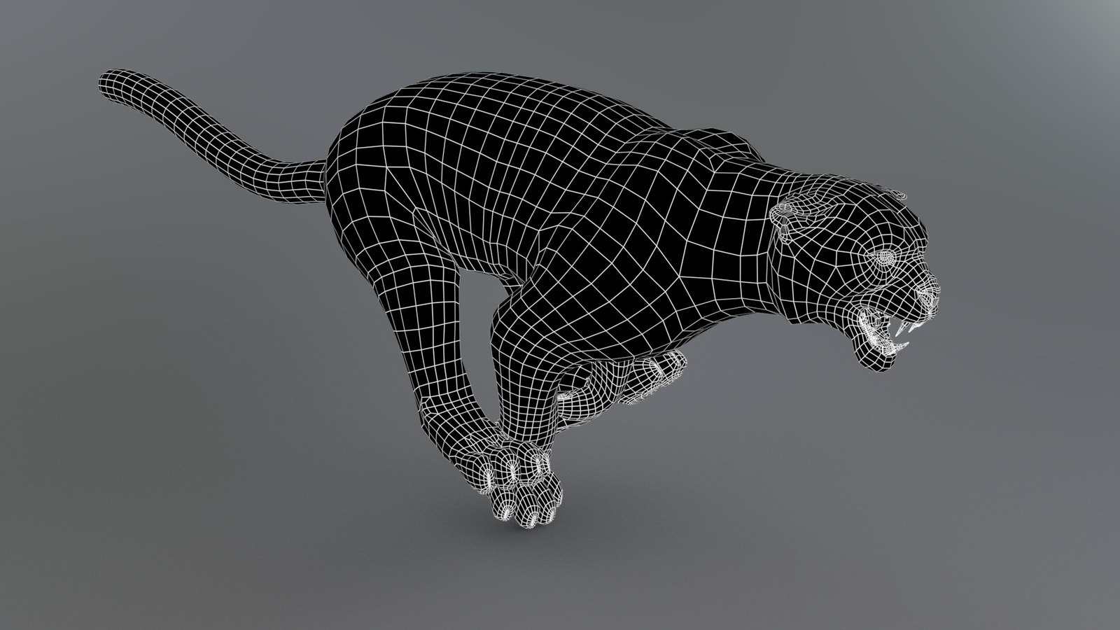 Snow Leopard 3d Model Wireframe Subdivision Level 0