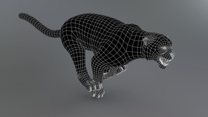 Snow Leopard 3d Model Wireframe Subdivision Level 0 Thumbnail