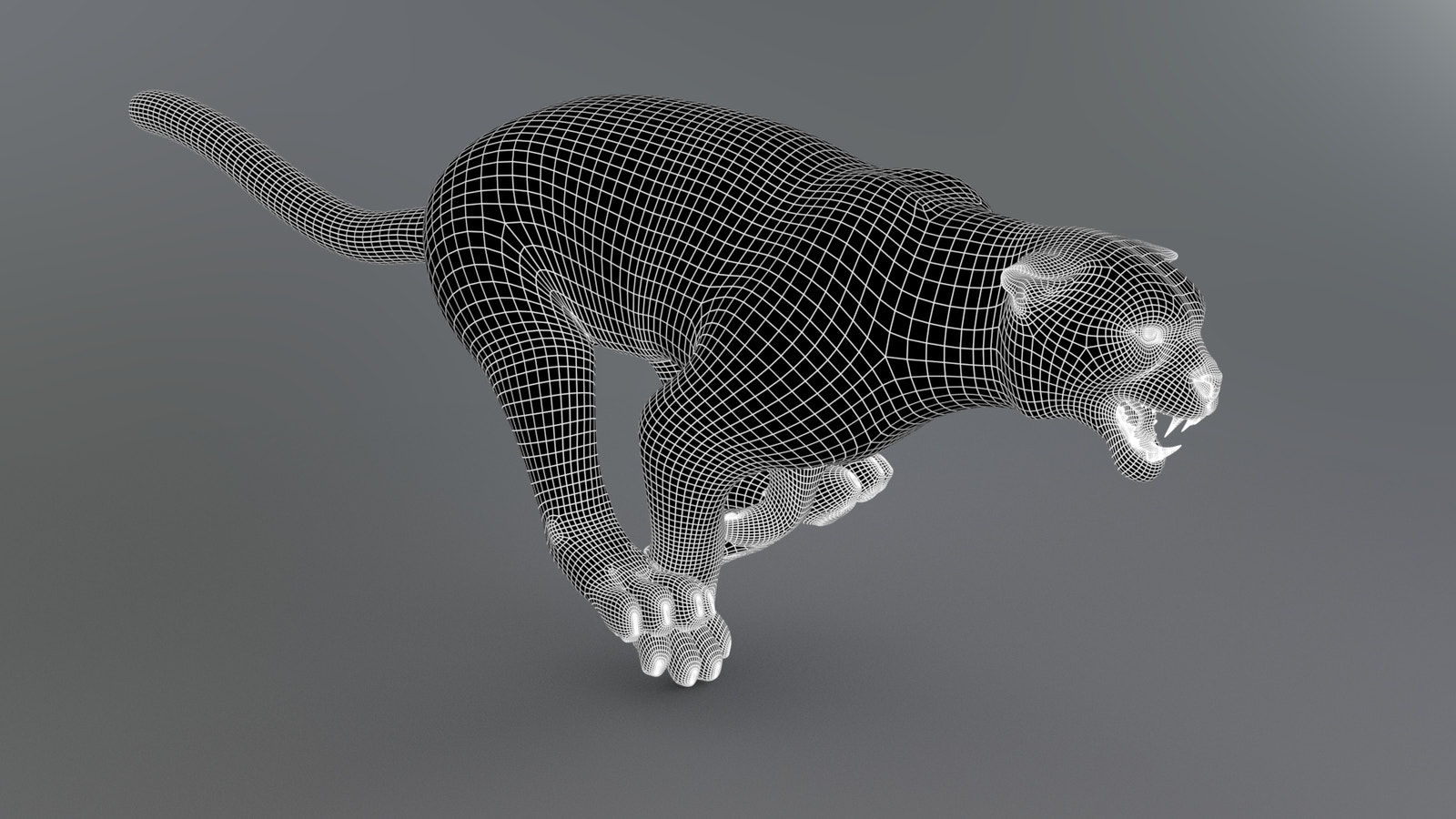 Snow Leopard 3d Model Wireframe Subdivision Level 1