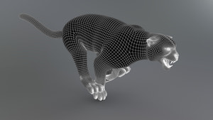 Snow Leopard 3d Model Wireframe Subdivision Level 1 Thumbnail