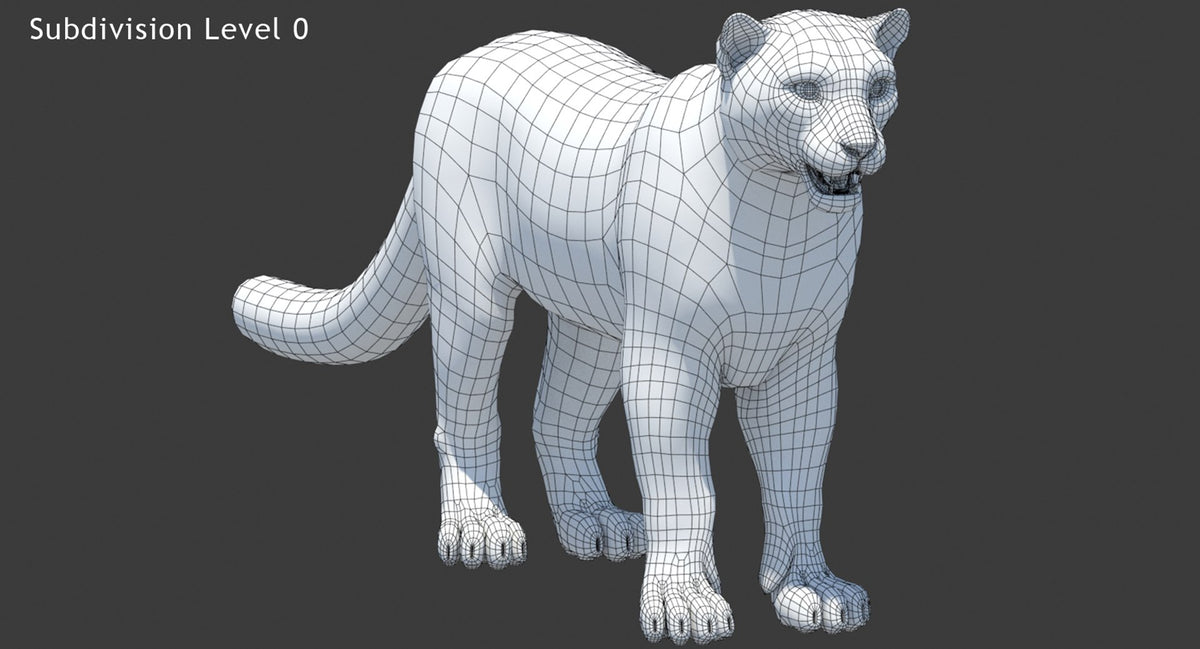 Rigged Snow Leopard 3D Model Wireframe View Subdivision Level 0