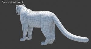 Rigged Snow Leopard 3D Model Wireframe View Subdivision Level 0 Thumbnail