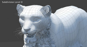 Snow Leopard 3D Model Head Close Up  - Wireframe View Subdivision 0 Thumbnail