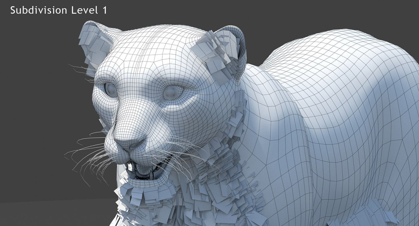 Snow Leopard 3D Model Polygonal Hairs