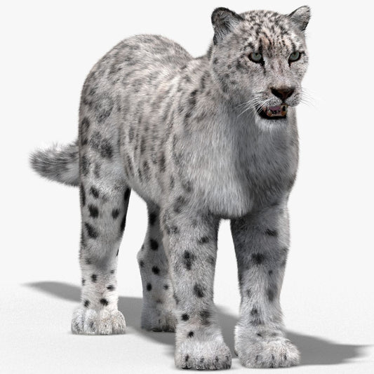 Snow Leopard 3D Model with Fur