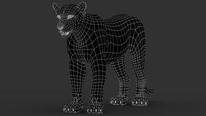 Sri Lankan Leopard 3D Model Wireframe View 0