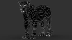 Sri Lankan Leopard 3D Model Wireframe View 0 Thumbnail