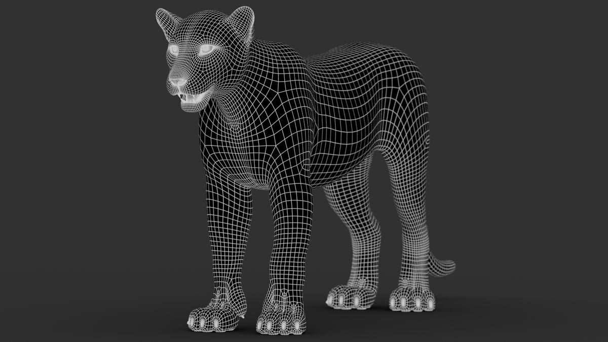 Sri Lankan Leopard 3D Model Wireframe View 1