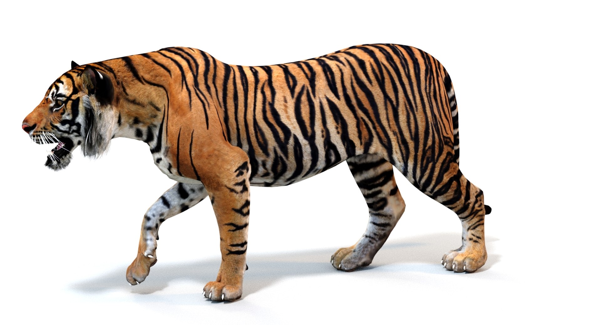 Animated Tiger 3D Model with Polygonal Mane