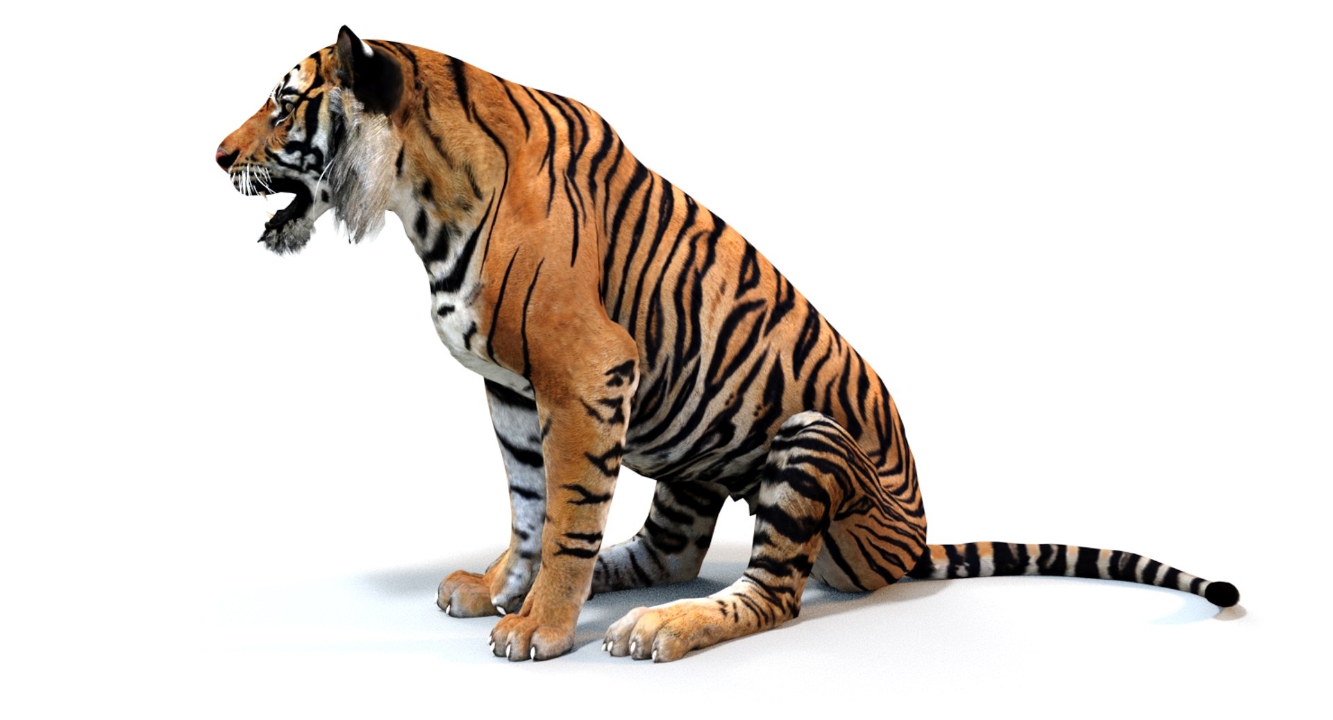 Animated Tiger 3D Model with Polygonal Mane