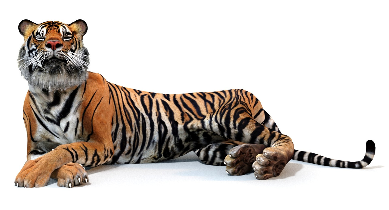 Animated Tiger 3D Model with Polygonal Mane