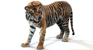 Fully Rigged And Animated Tiger 3D Model for Download | PROmax3D Thumbnail