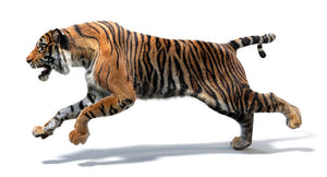 Running Tiger 3D Model with Realistic Fur Thumbnail