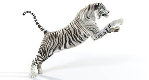 Animated Tiger White and Natural 3D Model Thumbnail