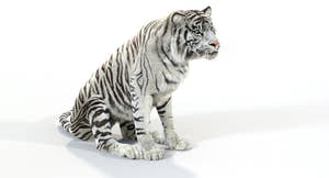 Animated Tiger White and Natural 3D Model Thumbnail