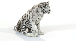 Animated White and Natural Tiger 3D Model - Hair and Fur Thumbnail