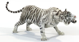 Animated White and Natural Tiger 3D Model - Hair and Fur Thumbnail