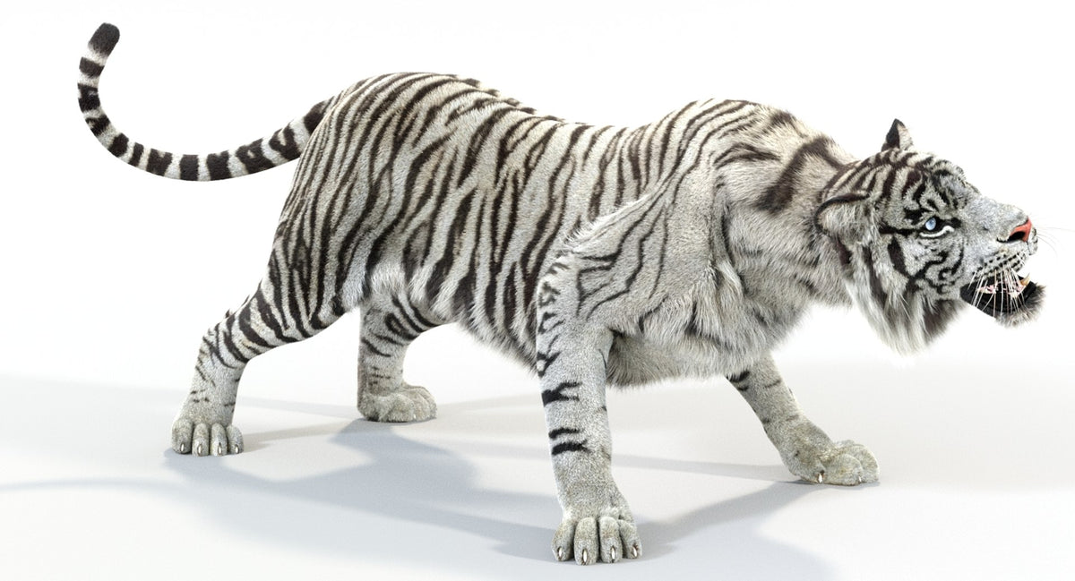 Animated White and Natural Tiger 3D Model - Hair and Fur