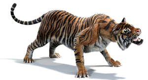 Animated White and Natural Tiger 3D Model - Hair and Fur Thumbnail