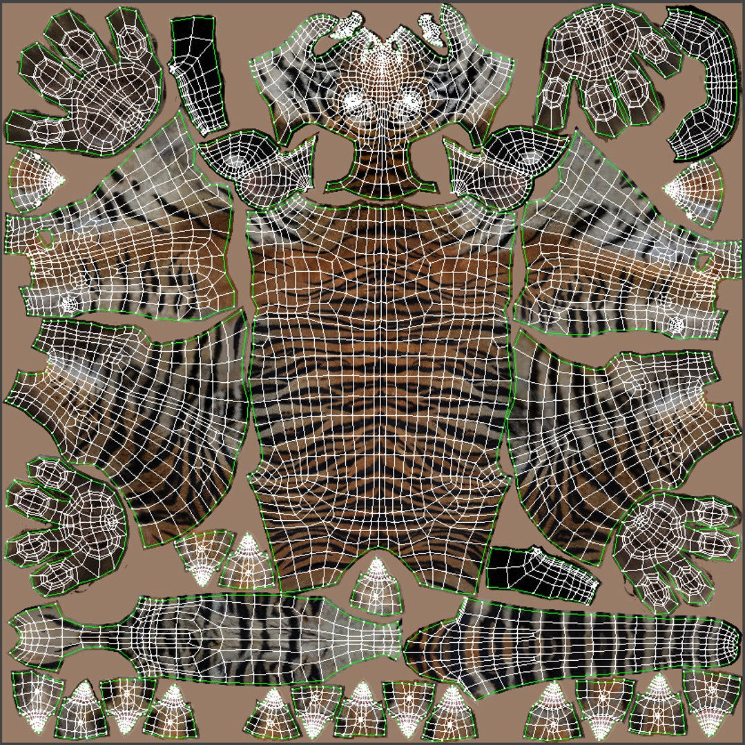 Realsitic Tiger 3D Model Body UVs
