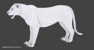 Realsitic Tiger 3D Model - Wireframe View 0 Thumbnail
