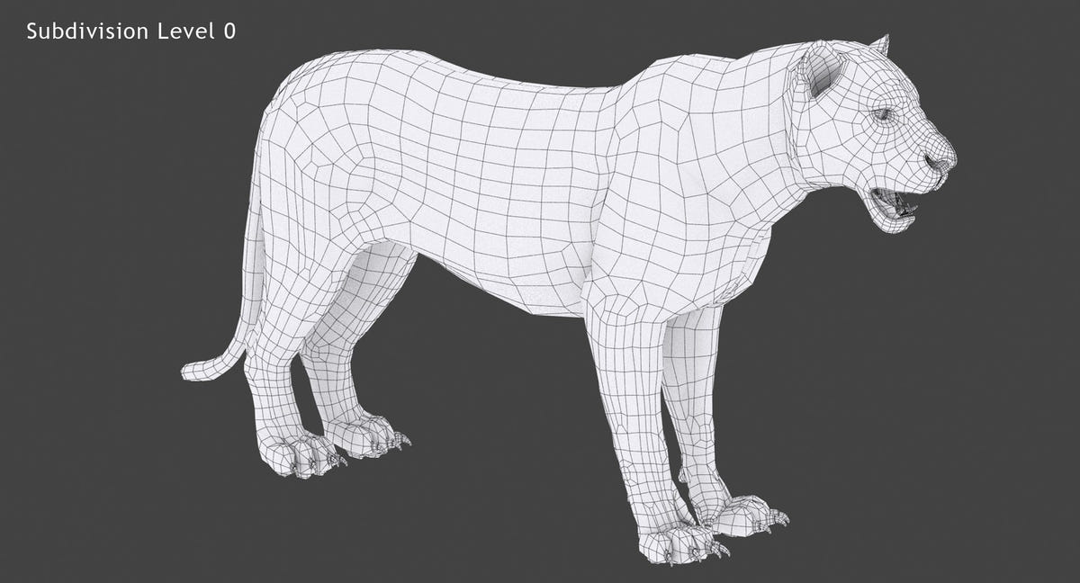 Tiger 3d model wireframe view 0