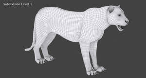 Realsitic Tiger 3D Model - Wireframe View 1 Thumbnail