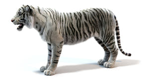 Realistic White Tiger 3D Model for Download Thumbnail
