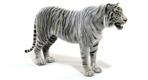 White Tiger 3D Model for Download Thumbnail