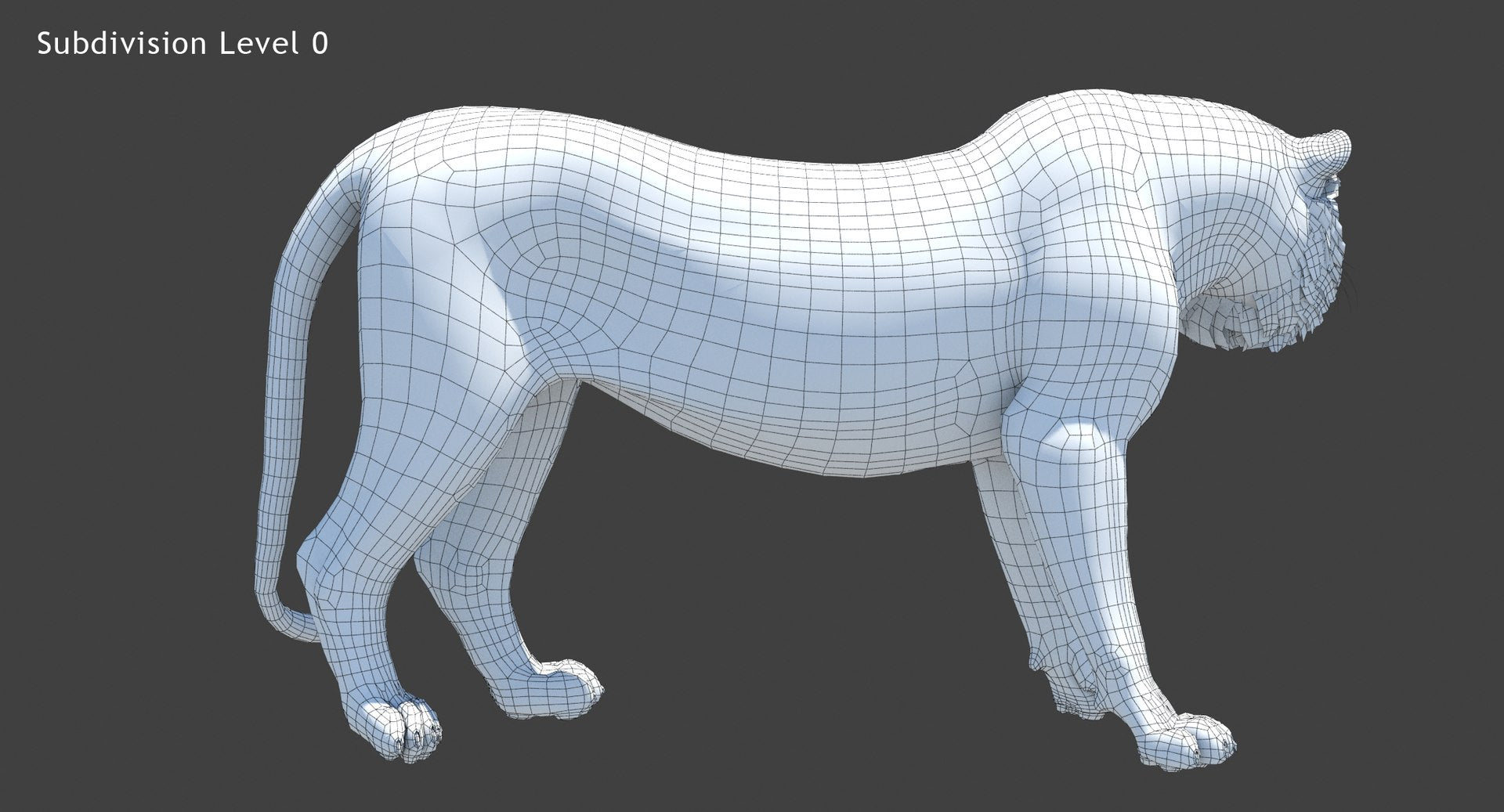 Tiger 3D Model Wireframe View Subdivision Level 0
