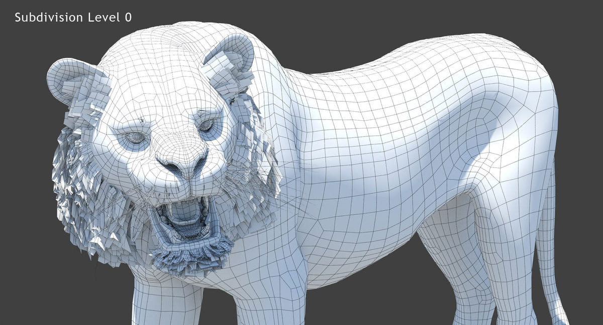 Tiger 3D Model Close Up Wireframe View Subdivision Level 0