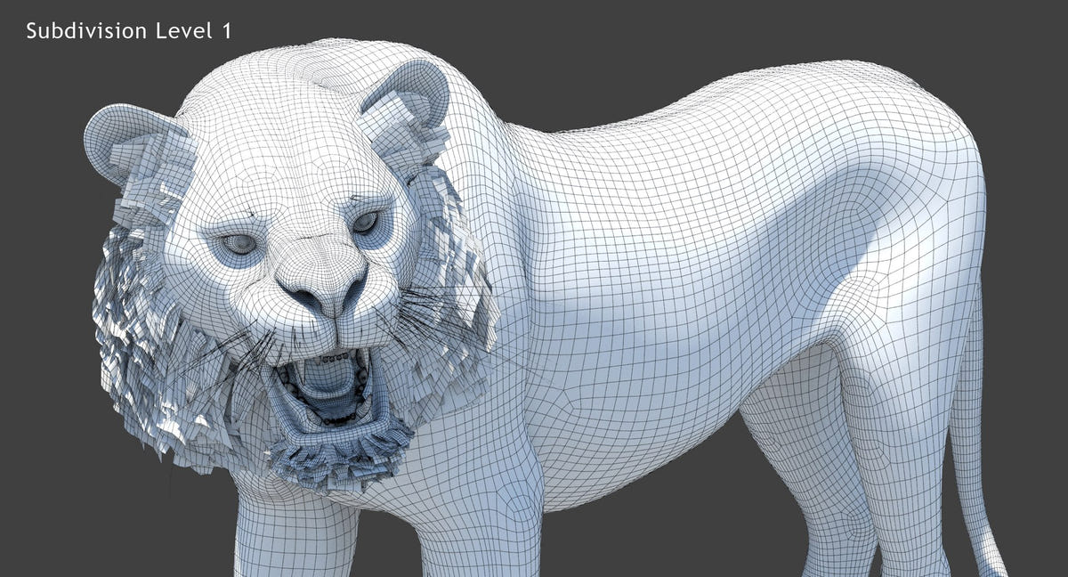 Tiger 3D Model Close Up Wireframe View Subdivision Level 1