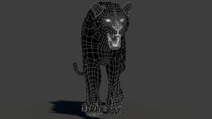 Sumatran tiger 3D model wireframe, quads-only topology at subdivision 0 Thumbnail