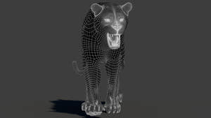 Sumatran tiger 3D model wireframe at subdivision 1 Thumbnail