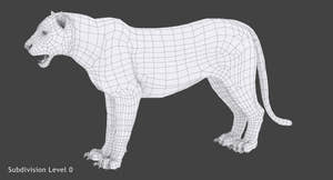 white tiger 3D model wireframe view subdivision level 0 Thumbnail
